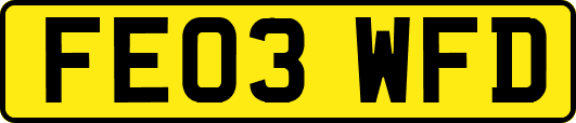 FE03WFD