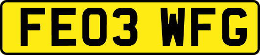 FE03WFG