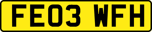 FE03WFH