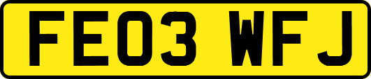 FE03WFJ