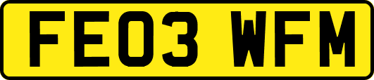 FE03WFM