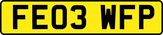 FE03WFP