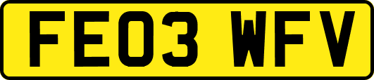 FE03WFV