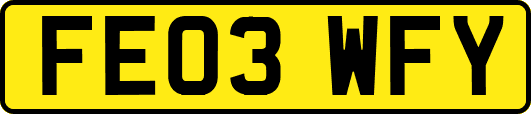 FE03WFY
