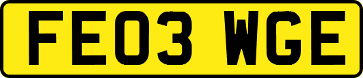 FE03WGE