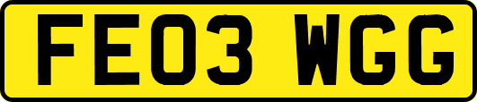 FE03WGG