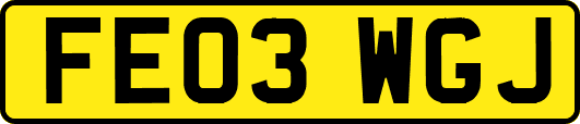 FE03WGJ
