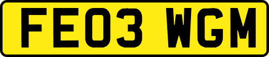 FE03WGM