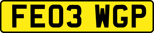 FE03WGP