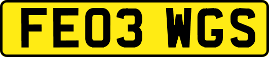FE03WGS