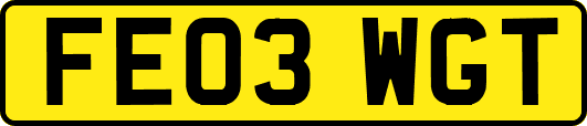 FE03WGT