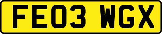 FE03WGX