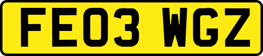 FE03WGZ