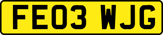 FE03WJG