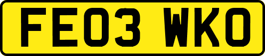FE03WKO