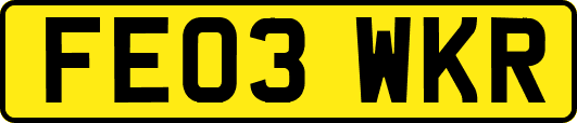FE03WKR