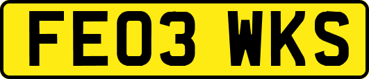 FE03WKS