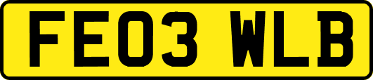 FE03WLB
