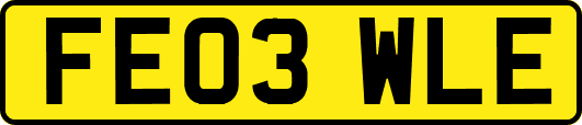 FE03WLE