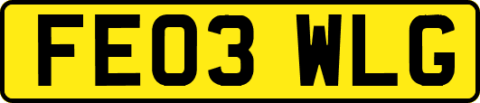 FE03WLG