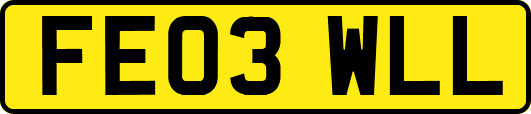 FE03WLL