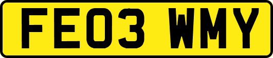 FE03WMY