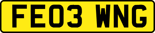 FE03WNG