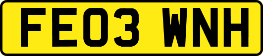 FE03WNH