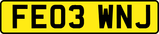 FE03WNJ
