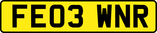 FE03WNR