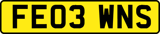 FE03WNS