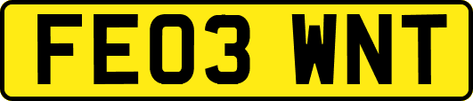 FE03WNT