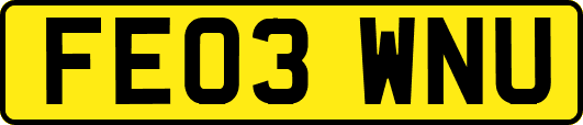 FE03WNU