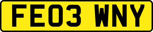 FE03WNY