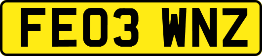 FE03WNZ