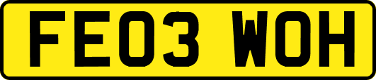 FE03WOH