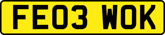 FE03WOK