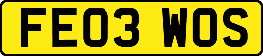 FE03WOS