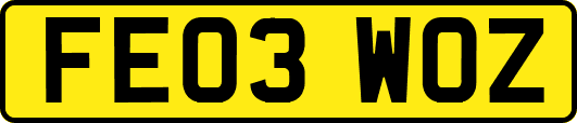 FE03WOZ