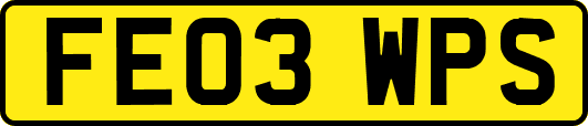 FE03WPS