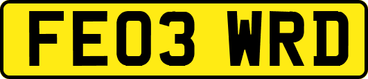 FE03WRD