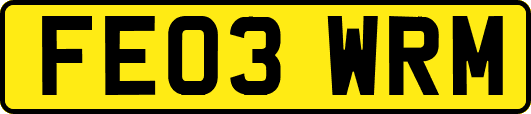 FE03WRM