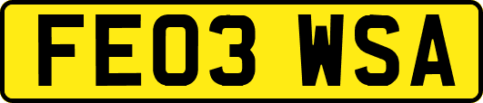 FE03WSA