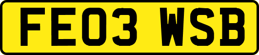 FE03WSB