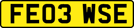 FE03WSE