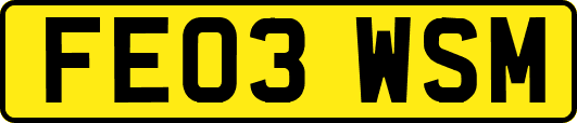 FE03WSM
