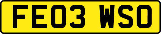 FE03WSO