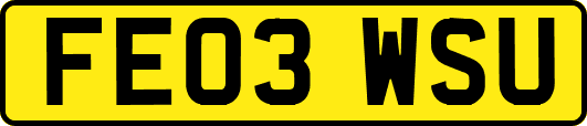 FE03WSU