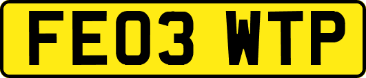 FE03WTP