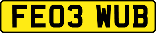 FE03WUB